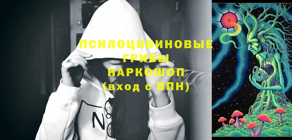 гидра Сафоново