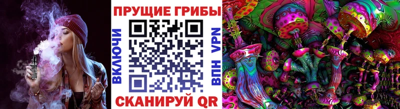 наркошоп  Новопавловск  гидра   Псилоцибиновые грибы прущие грибы 